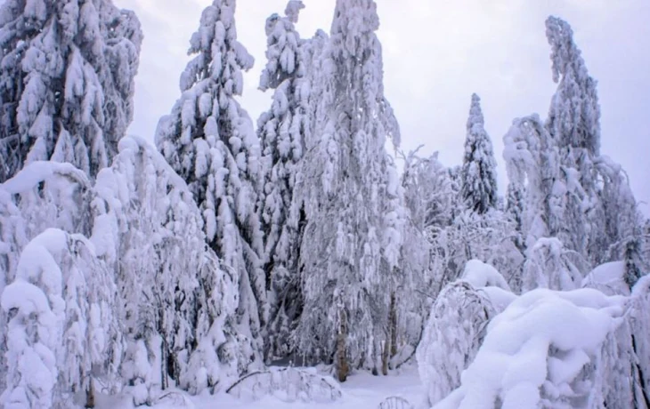 ТРЕВОГА! На Россию надвигается III Ледниковый период, заявили синоптики ТРЕВОГА! На Россию надвигается III Ледниковый период, заявили синоптики